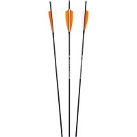 Penthalon Carbonpfeile Slim Line Black Naturfedern