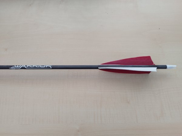 Standard Warrior Carbonpfeil mit Naturbefiederung