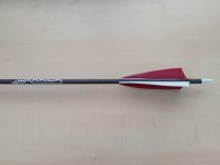 Standard Warrior Carbonpfeil mit Naturbefiederung